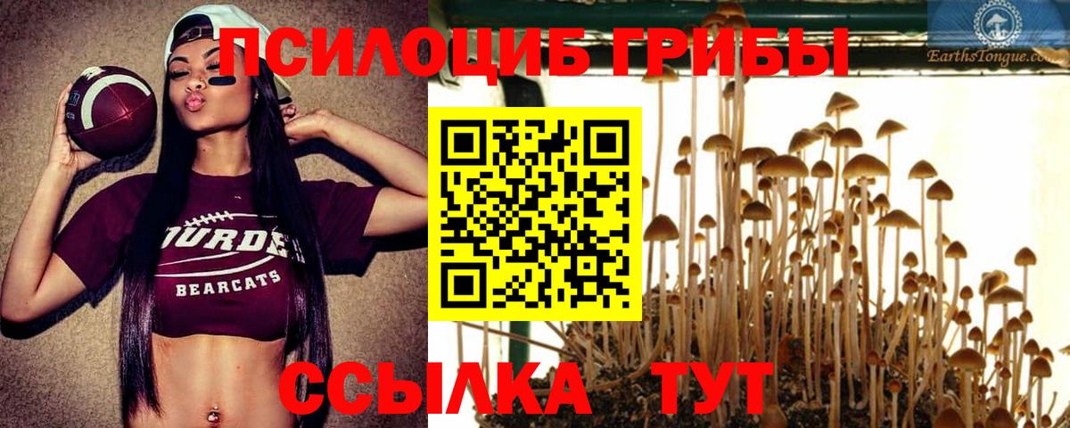 Галлюциногенные грибы мицелий  Вход с VPN  Котовск  Псилоцибиновые грибы прущие грибы 